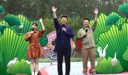 少年弥彦最新爆料视频,少年视角下的娱乐圈风云